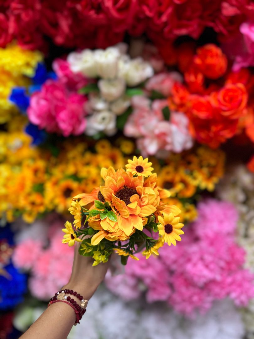 Girasol