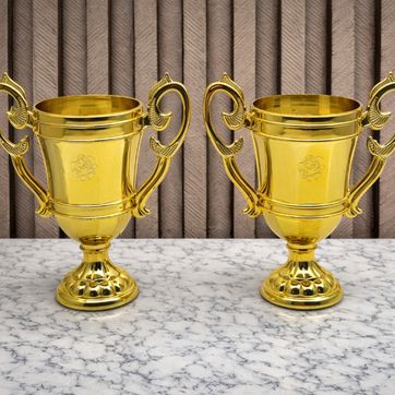 Imagen del producto TROFEO x 12 UNIDADES 20 CM 