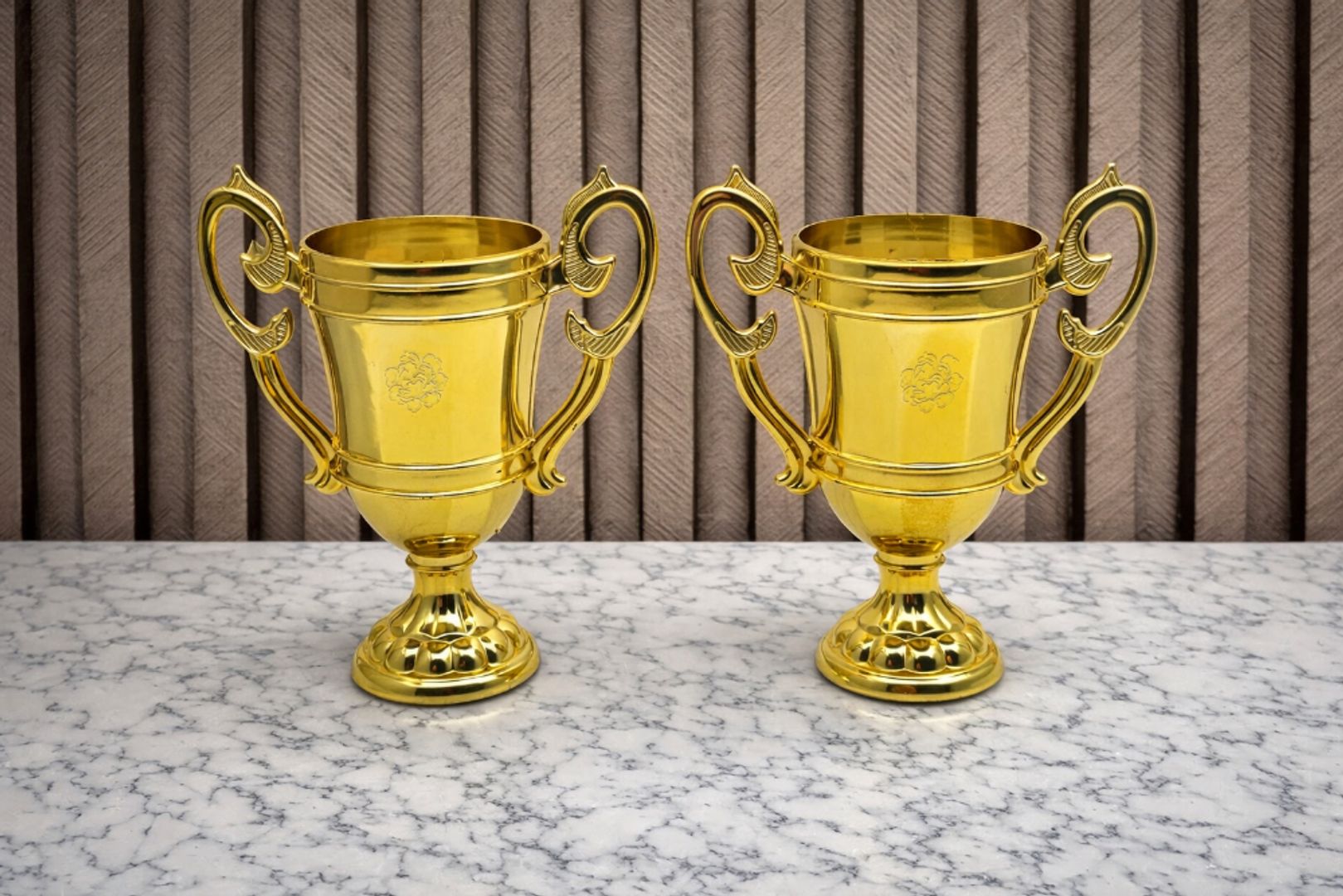 TROFEO x 12 UNIDADES 20 CM 