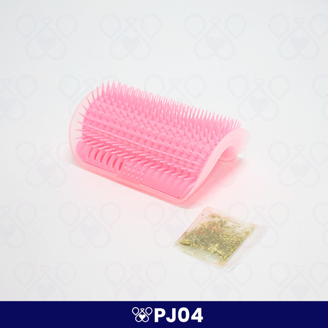 PJ04
