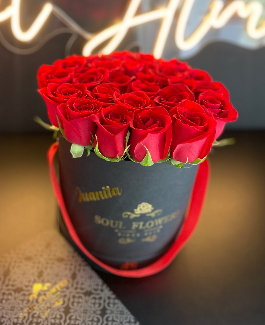 CAJA REDONDA FREESIA