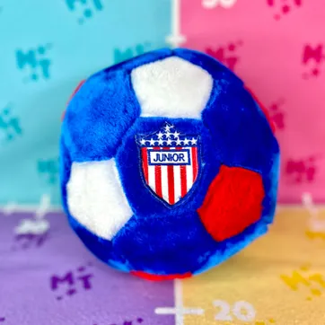 Imagen del producto Balon Equipos #2