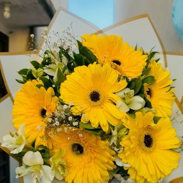 Imagen del producto gerberas x6 con follajes