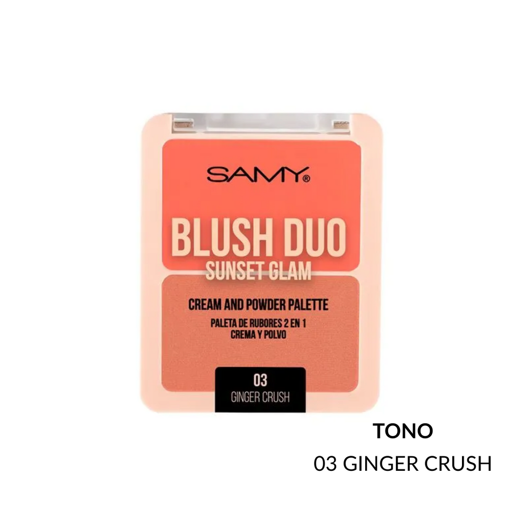 SA RUBOR 2 EN 1 # 01  SUNSET GLAM