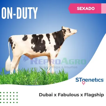 ON-DUTY SEXADO - imagen 1