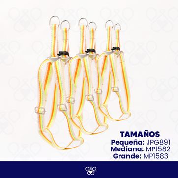 MP158 - JPG891 - imagen 1