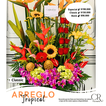 Arreglo Tropical - imagen 1