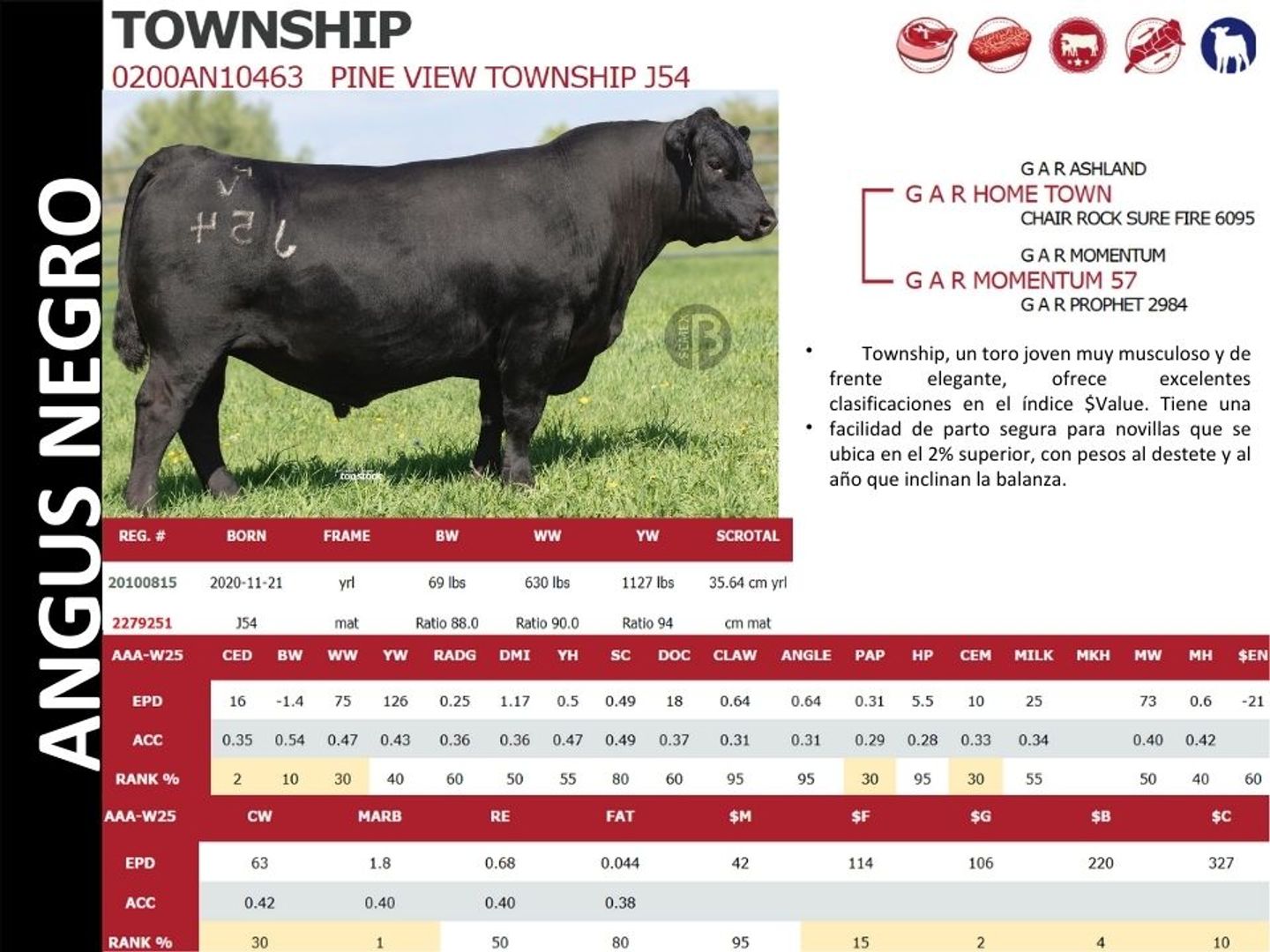 TOWNSHIP