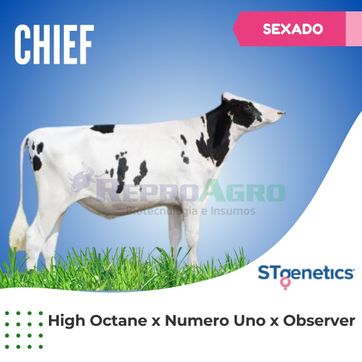 CHIEF SEXADO - imagen 1