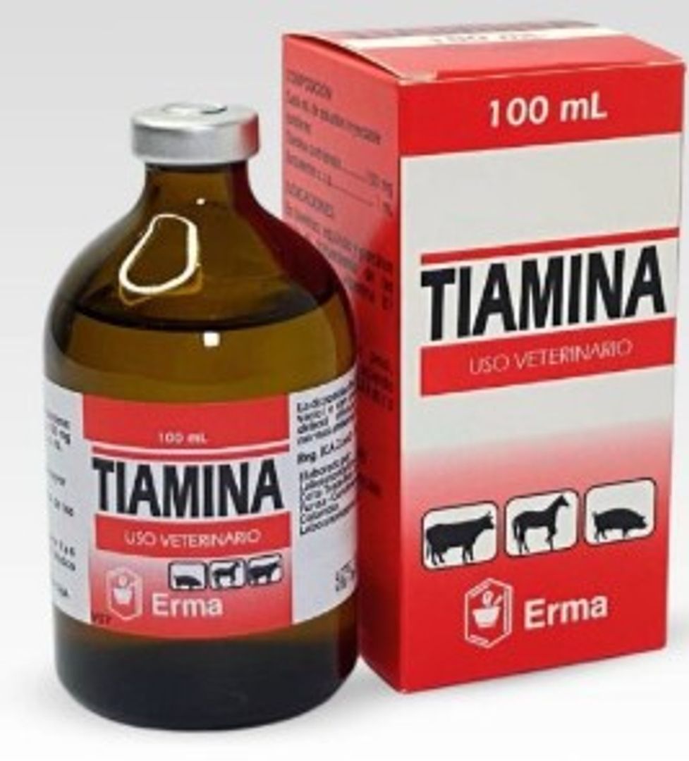 TIAMINA x 100 ml