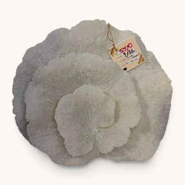 Imagen del producto APLIQUE DE PARED EN PIEDRA IMPORTADA TIPO ROSA