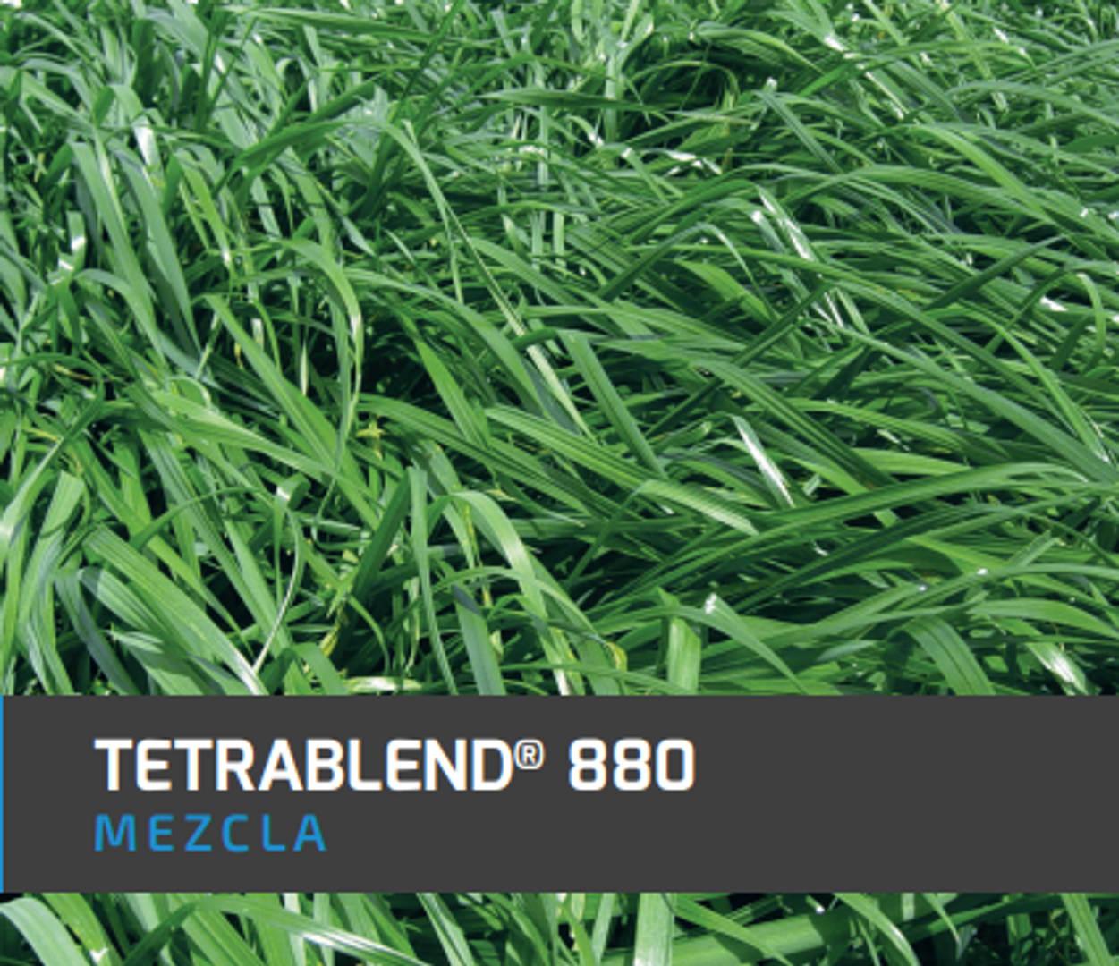 Tetrablend 880 Dry x Kilo