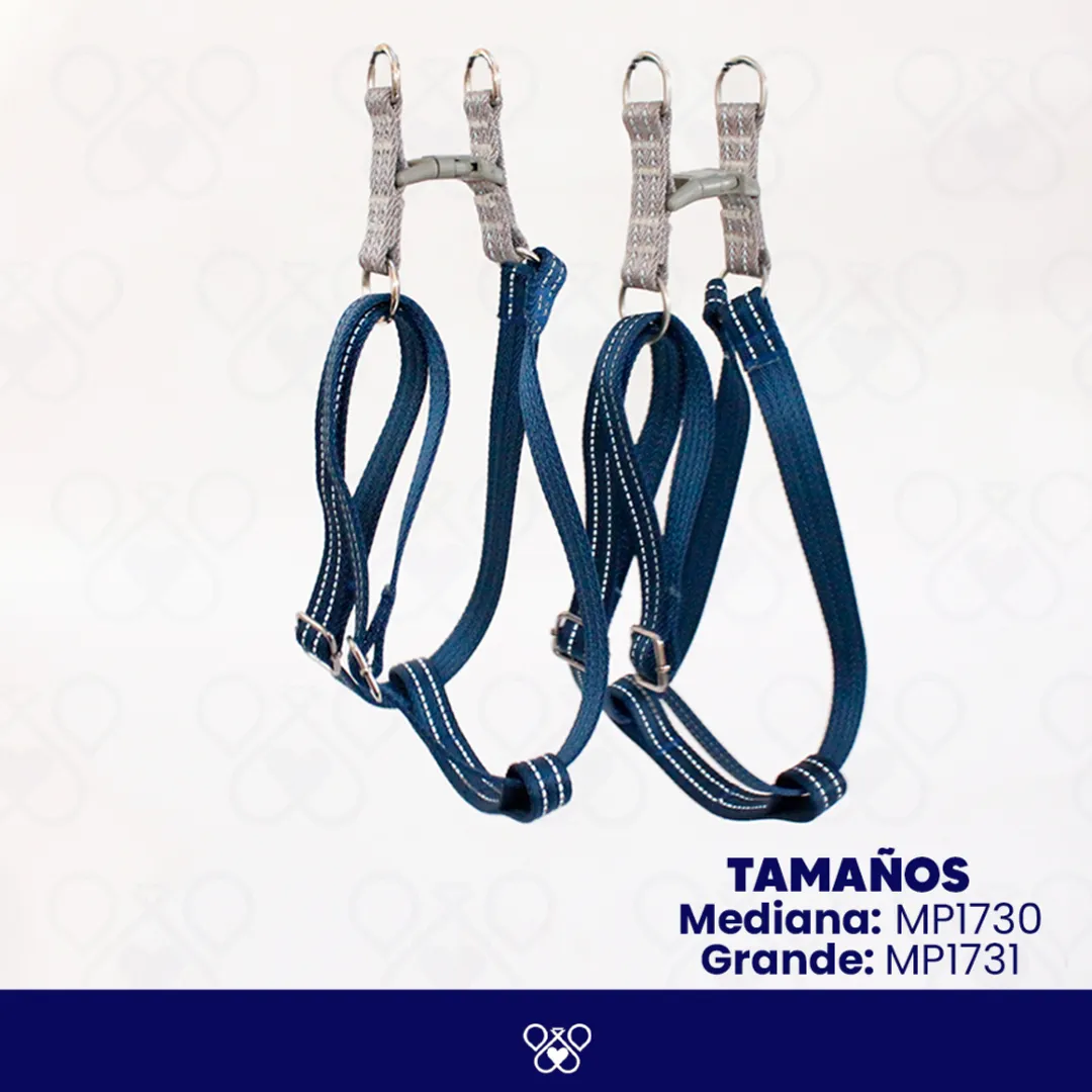 MP173-