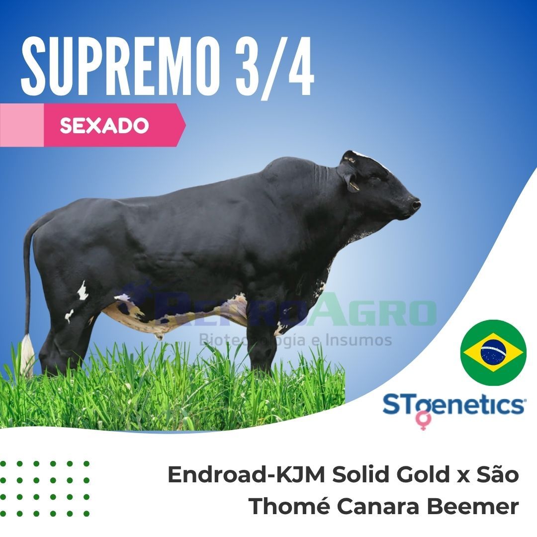 SUPREMO SEXADO