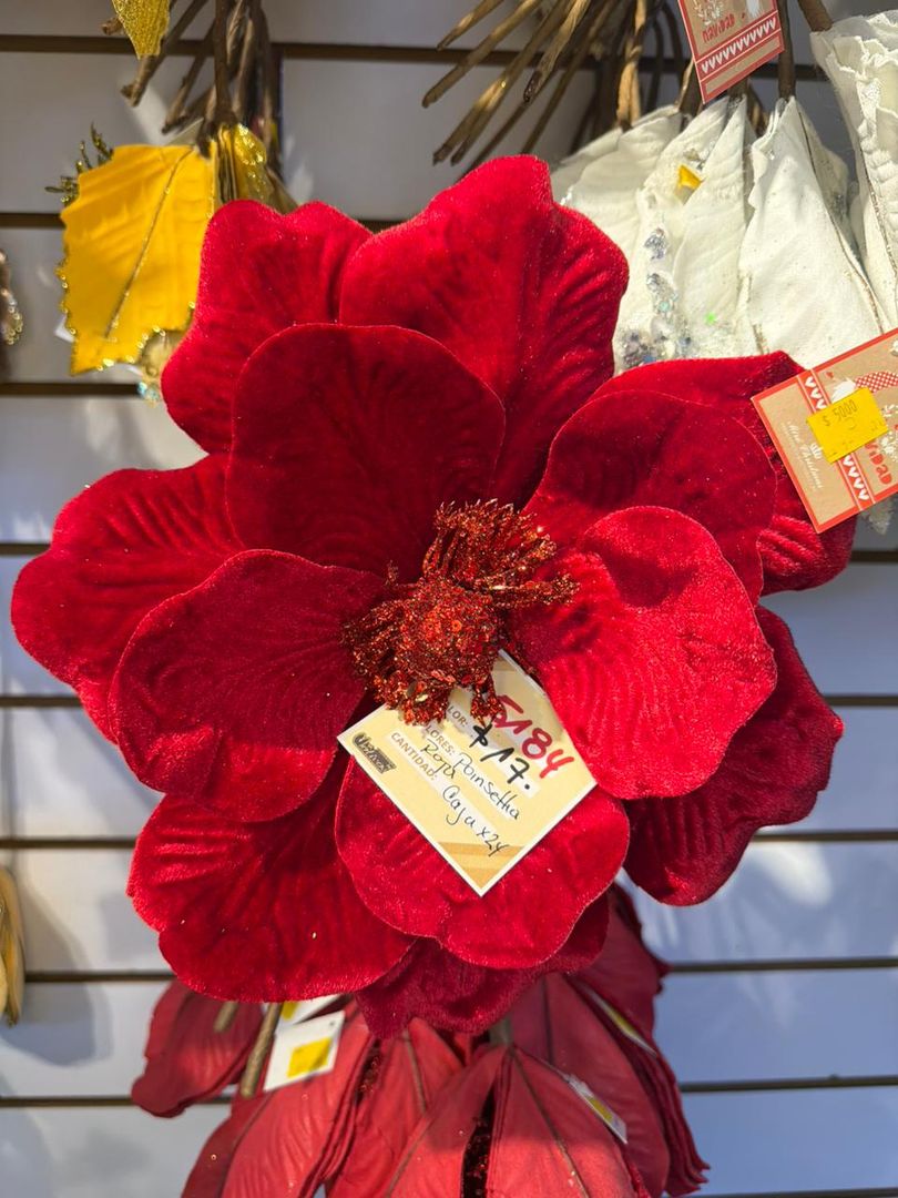 MAGNOLIA EN PANA ROJA