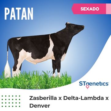 PATAN SEXADO - imagen 1