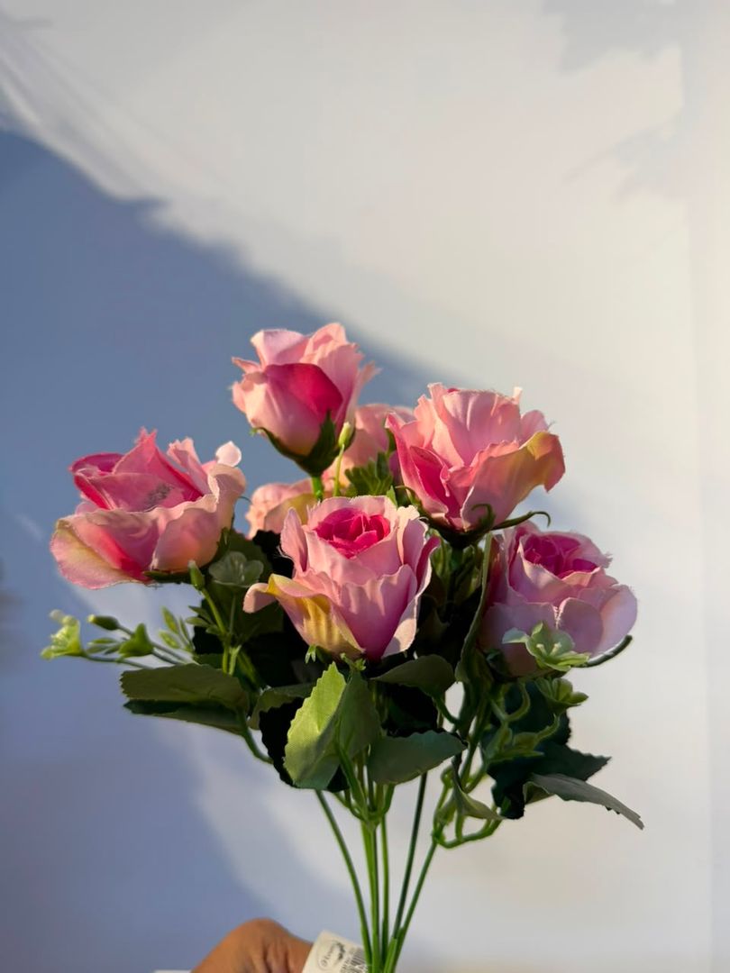 MINI ROSA FUCSIA CON ROSADO