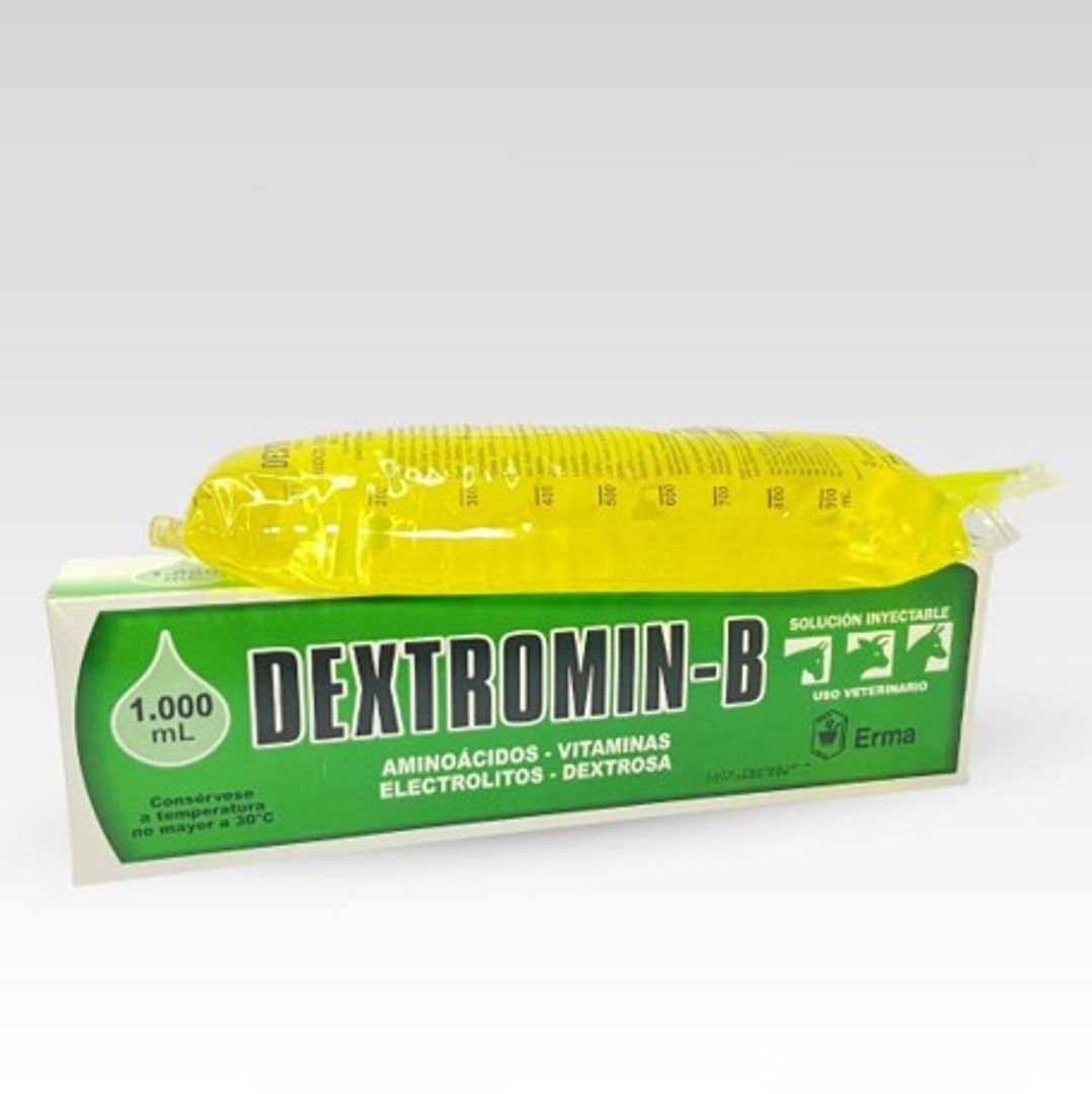 DEXTROMIN - B 1000 ML