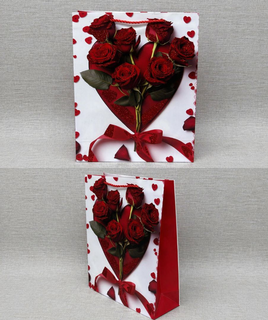 BOLSA DE REGALO SURTIDA 24X18 CM