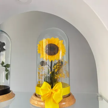 Imagen del producto GIRASOL PRESERVADO