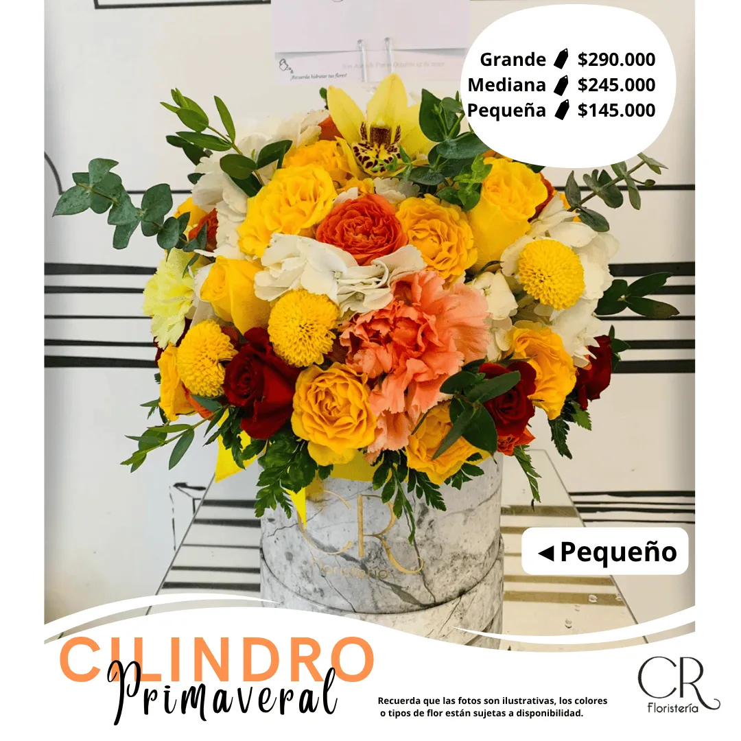 Cilindro Deluxe Primaveral