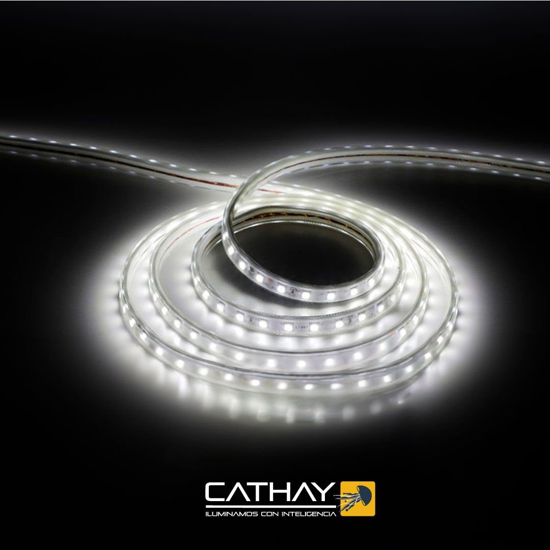 CINTA LED ENCAUCHETADA 60 LED POR METRO - IP 65-110V 