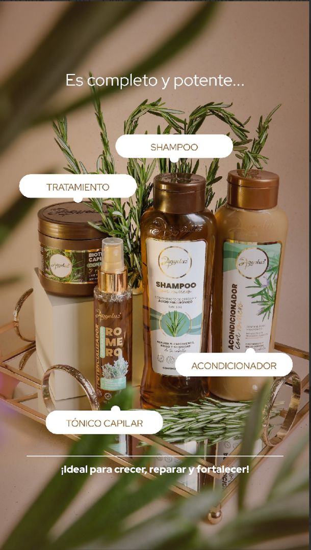 KIT POTENCIALOZADOR DE ROMERO