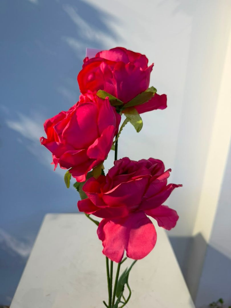 ROSA X 3 EN VARA FUCSIA