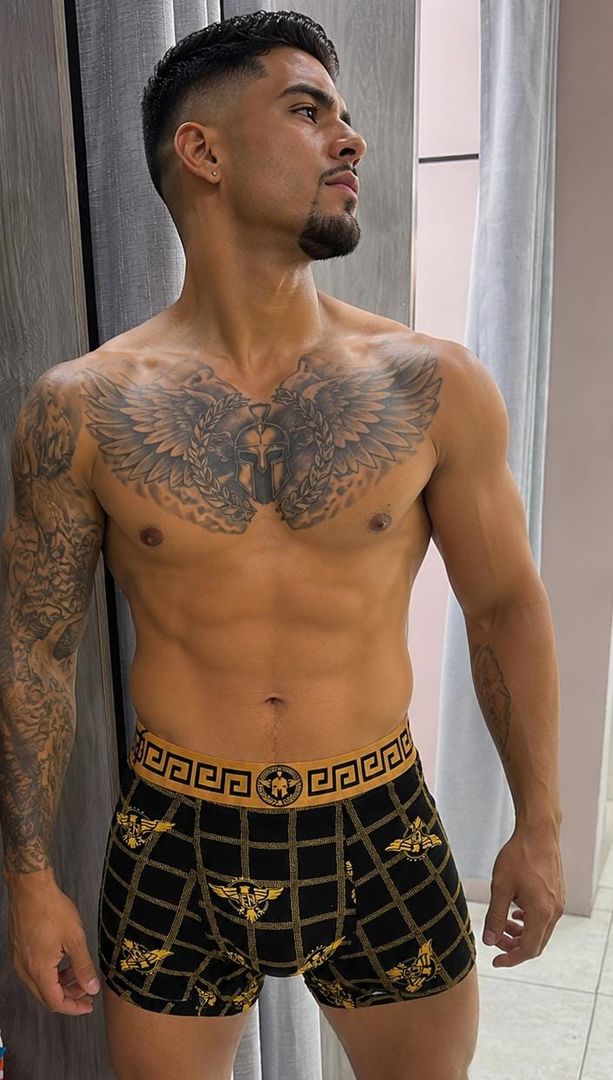 Boxer 