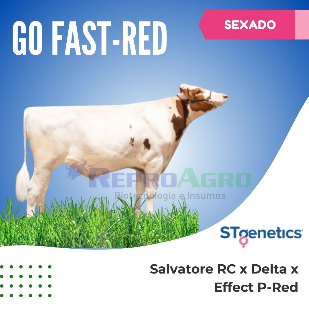 GO FAST RED SEXADO