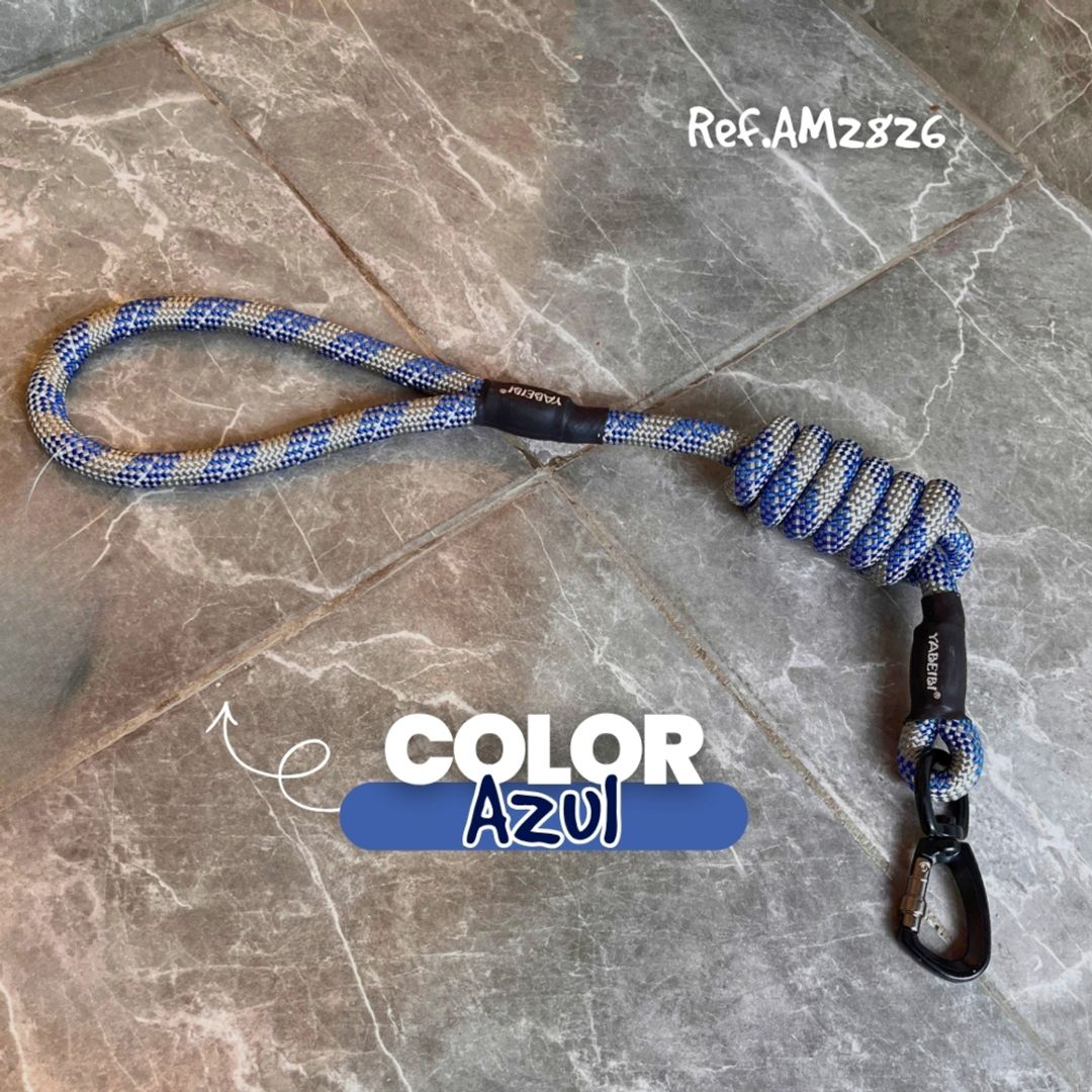 AM2826