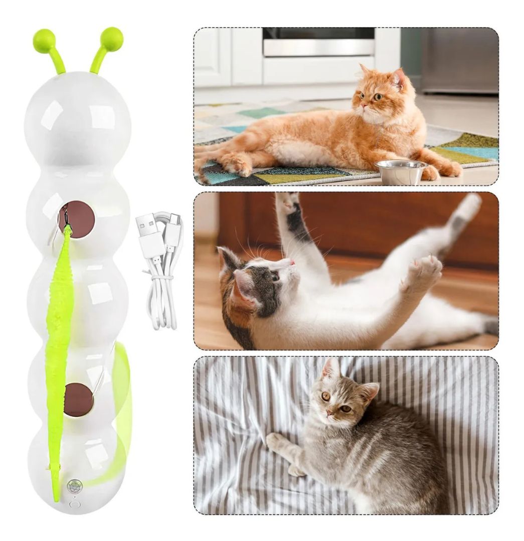 JUGUETE INTERACTIVO GATOS ALL FOR PAWS