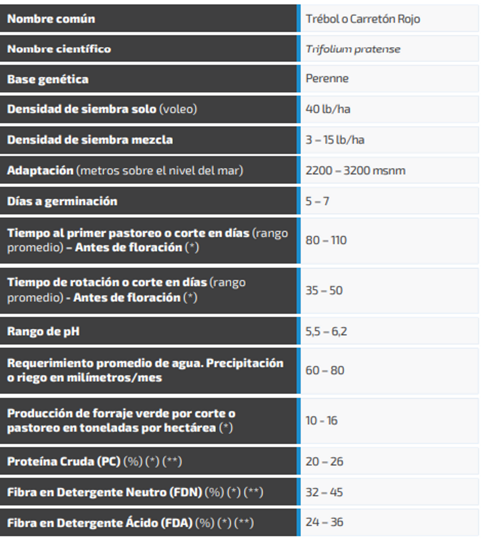 Carretón-Trébol Rojo Red Gold x Libra 