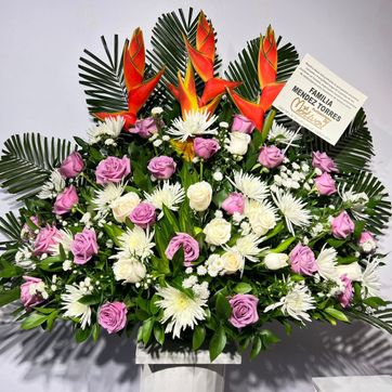 Imagen del producto FUNEBRE LILA