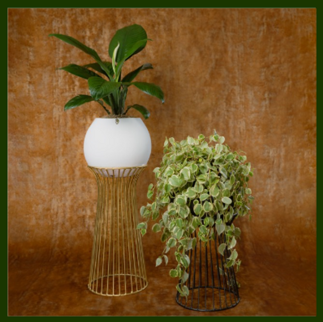 SOPORTES TORRE CAMILO (Negro y dorado)