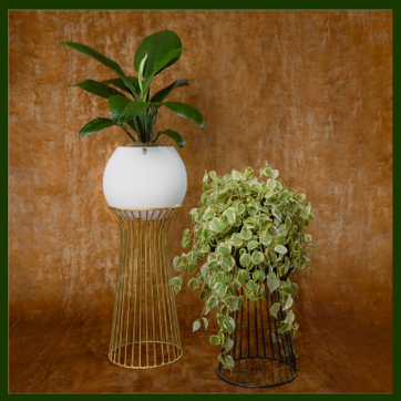 SOPORTES TORRE CAMILO (Negro y dorado) - imagen 4