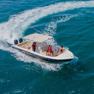 Lancha pez vela - imagen 1