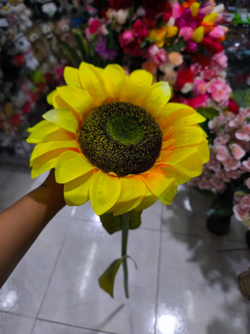 GIRASOL TALLO LARGO JM055