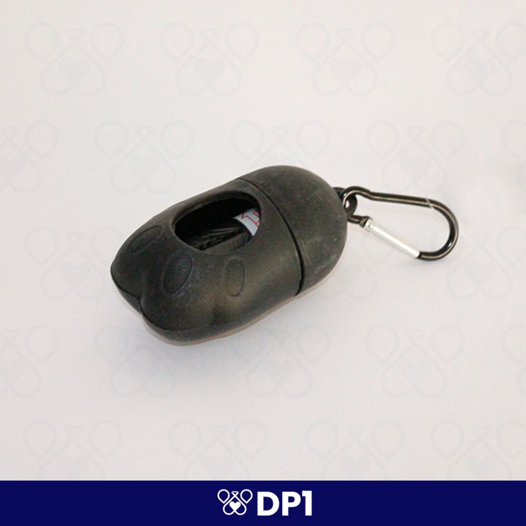 DP1