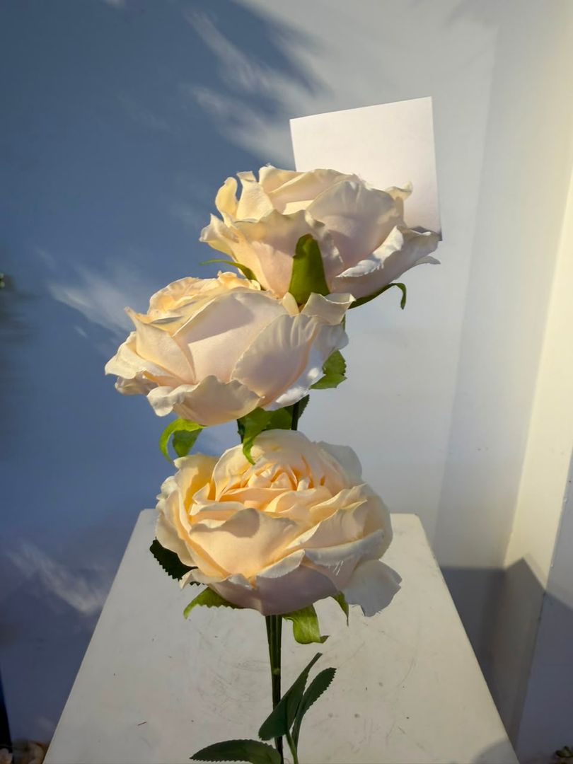 ROSA X 3 EN VARA BEIG