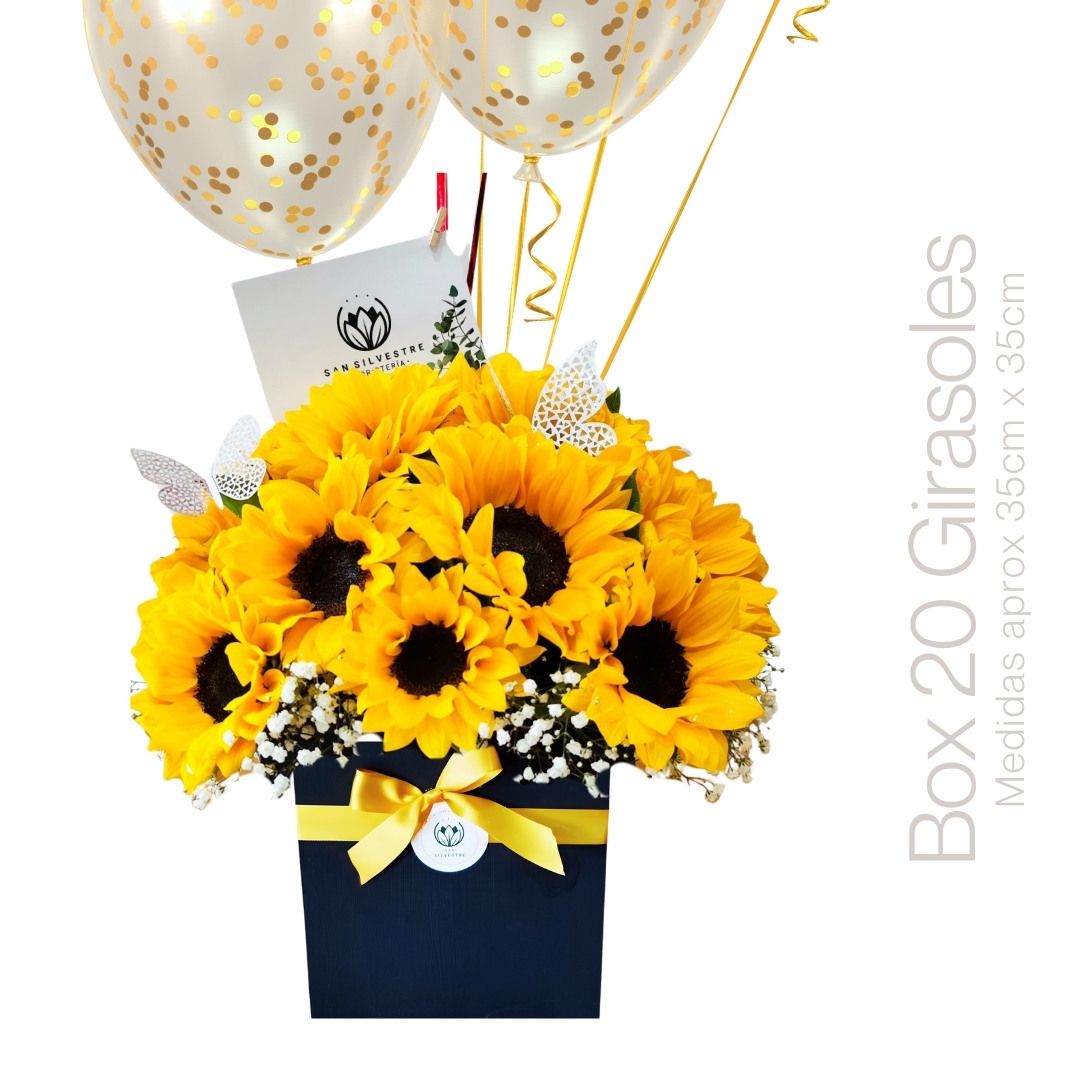 BOX ESPECIAL GIRASOLES 