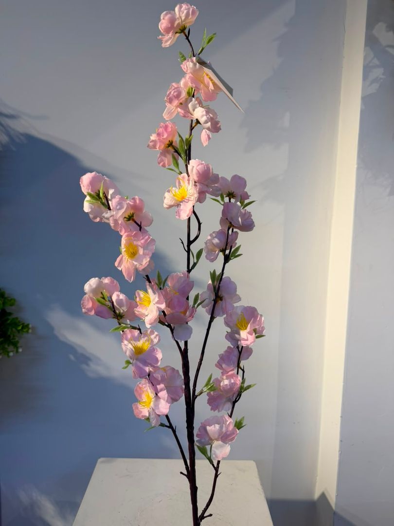 CEREZO ROSADO EN VARA