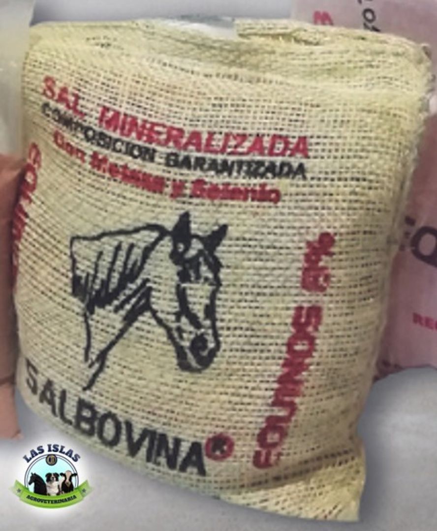 SAL MINERALIZADA EQUINOS X 10 KG