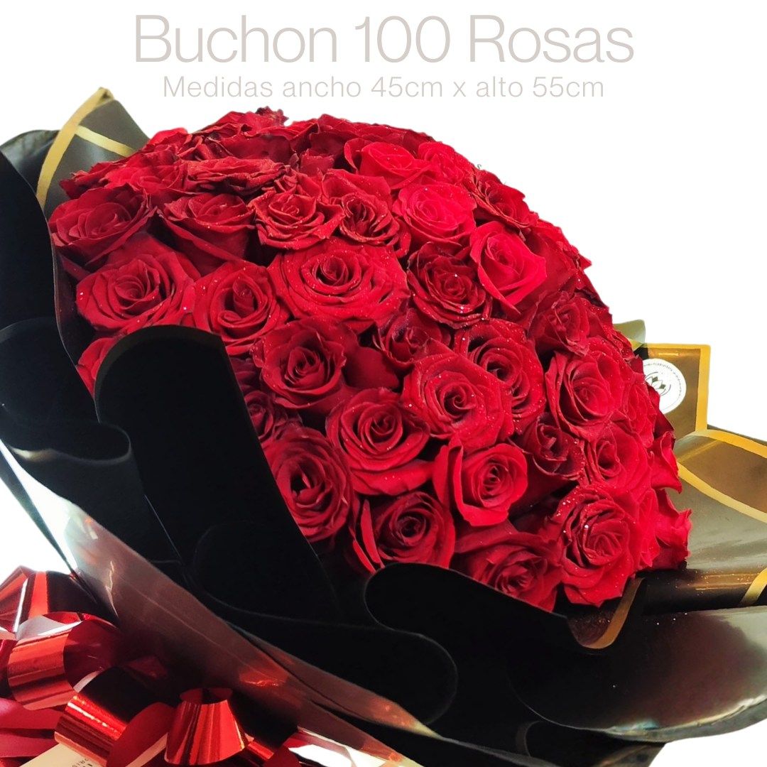 RAMO BUCHON 