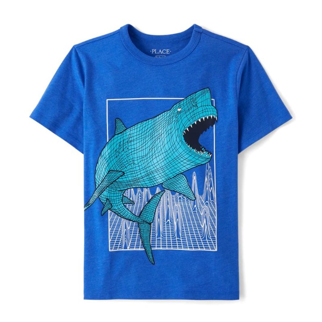4T Camiseta CHILDRENS PLACE