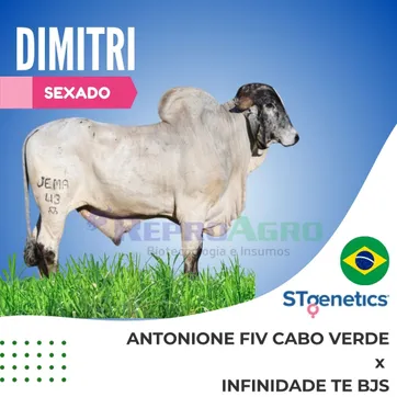 DIMITRI SEXADO - imagen 1