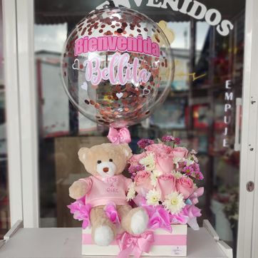 Imagen del producto Bienvenida bebé 