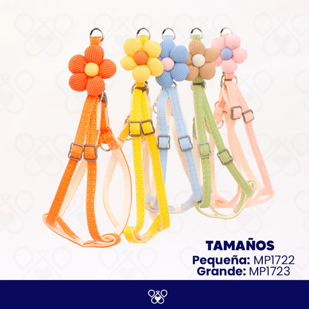 MP172-
