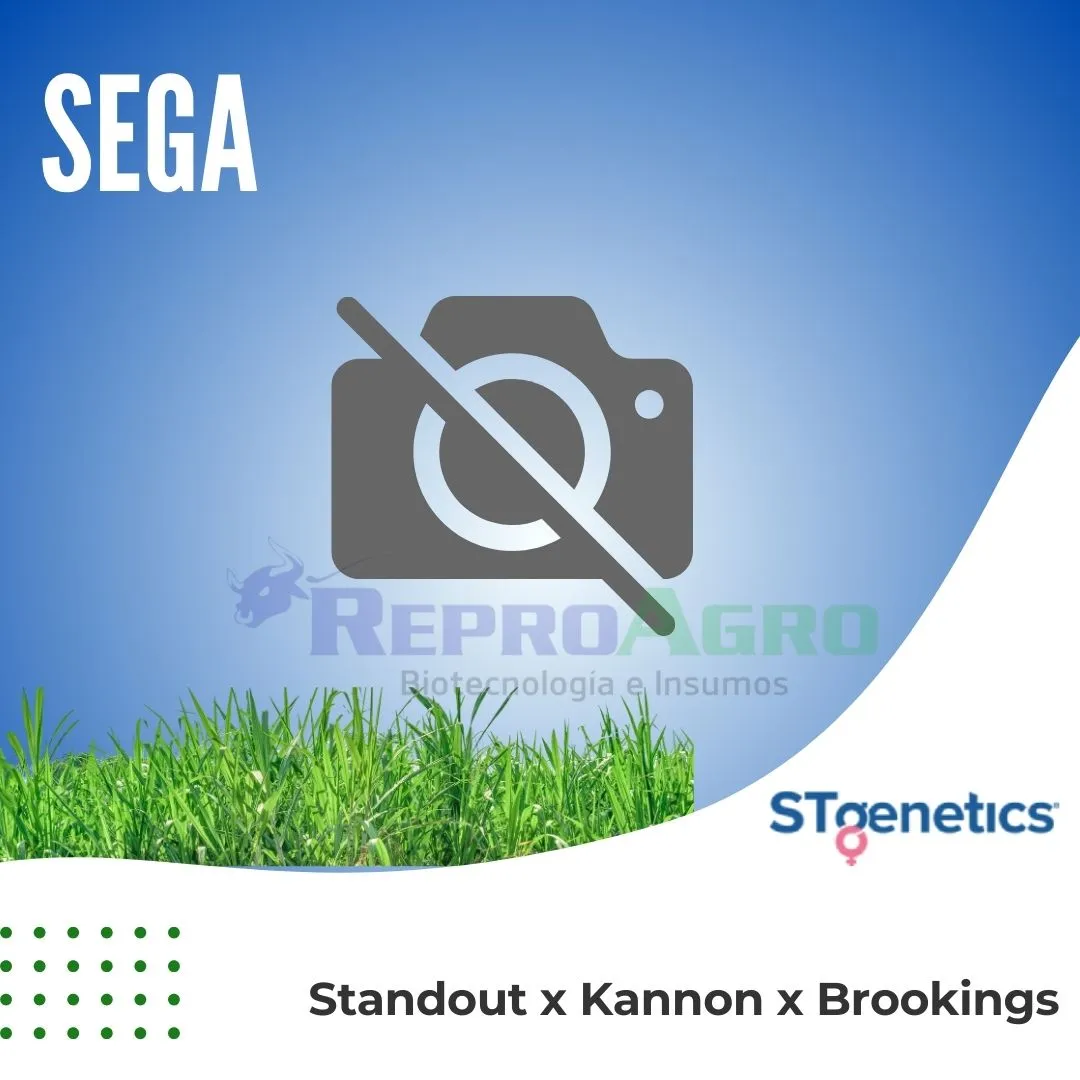 SEGA