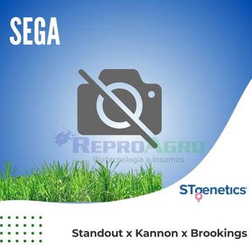 SEGA - imagen 1